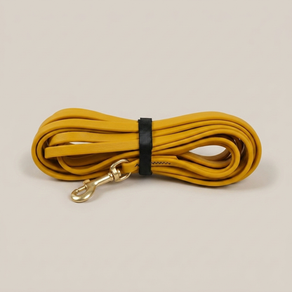 AquaLine Floating Dog Leash