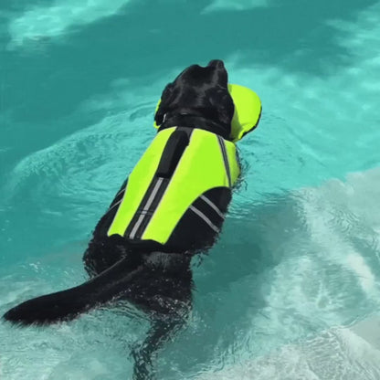 PupFloat Life Jacket