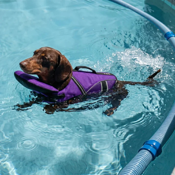 PupFloat Life Jacket