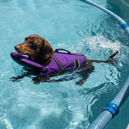 PupFloat Life Jacket
