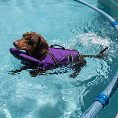 PupFloat Life Jacket